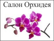 Орхидея, салон красоты